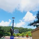 산매동 | 갑상선암 6개월 정기검진 후기