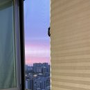 파파존스 문래점 이미지