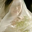 플로에르 이미지