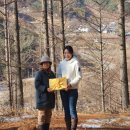 개명산삼원