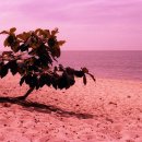 인화아이프라자 이미지