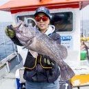 그램퍼스(주) 이미지