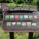 차당천 이미지