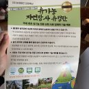 신선한 난각번호 1번 유정 자미유정란 구매후기