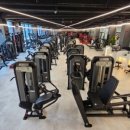 드래곤짐 이미지