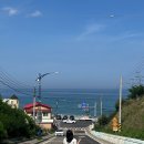 묵호바다협동조합 | 짝궁생일 겸 떠난 묵호여행 1박2일 압축 zip 💺🏝⛴ 🐚 🌊