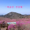 비슬산 이미지