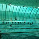 서평택국민체육센터 수영장 이미지