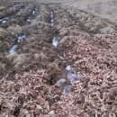 순수농장 이미지