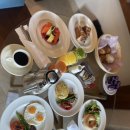 아르떼영 | 칸쿤 스칼렛 아르떼 솔직후기｜세노테·스칼렛파크·엔칸타 식당 총정리 (신혼여행 필수코스) 🌴✨D-3.4일
