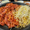 배부른생오리
