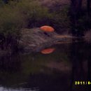 우회도로삼거리(좌) 이미지