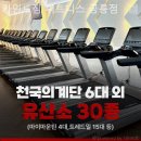 카인드 휘트니스 이미지