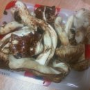 횡성토종닭 이미지