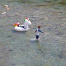 홍기섭 | ♠도둑을 감동시킨 선비♠