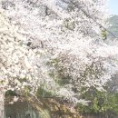 지암교 입구 이미지