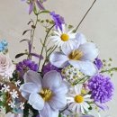 르코스모스