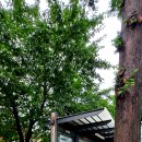 걸포초등학교 이미지