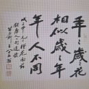 年年歲歲花相似 歲歲年年人不同 연년세세화상사 세세연년인부동 이미지