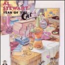 MODERN CAT 이미지