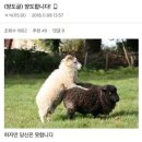 룰라PC방 이미지