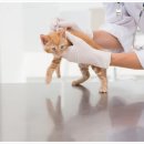 분당-364 이미지