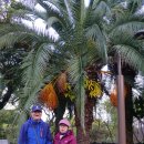 제주 올레길 18코스 이미지