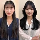깡아지미용실 | [홍대 미용실 추천] 레이어드컷 맛집 “하이에이치 연남”