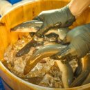 대박숯불장어구이 이미지