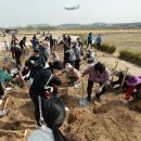 태극태권도 이미지