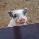 한국잠사박물관 이미지