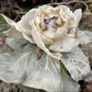 논현1동 주민센터 이미지