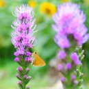 김영자농장 이미지