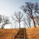 성내공원화장실 이미지