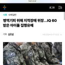 병역기피 위해 지적장애 위장…IQ 60 받은 아이돌 집행유예 이미지