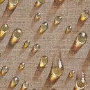 유화(오전) 이미지