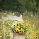 바느질정원 이미지