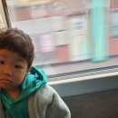 희현농장 | 2022 마르쉐 2번 후기