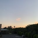 사라보카 48 이미지