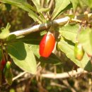 열매유치원 이미지