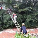 낙동강하천공원주차장 이미지