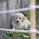 농업인회관 화장실 이미지