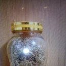 송라마을 이미지