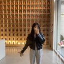 포니쁘니 이미지
