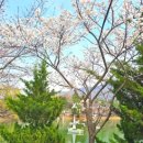 인화식당 이미지