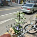 초롱이고모부대찌개 이미지