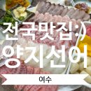 양지선어