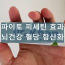 뇌건강, 건강차 | 파이토 피세틴 식물추출 성분 효과 뇌 혈당 건강 복용 후기