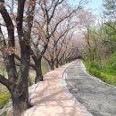 충효천길둘레 Daum카페