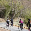 화산다방